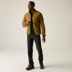 Regatta Hadfield Férfi  polár felső barna