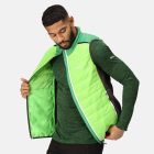 Regatta Halton B/W VII Férfi steppelt mellény zöld