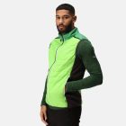 Regatta Halton B/W VII Férfi steppelt mellény zöld