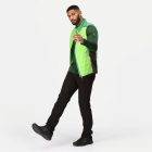 Regatta Halton B/W VII Férfi steppelt mellény zöld