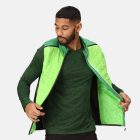 Regatta Halton B/W VII Férfi steppelt mellény zöld