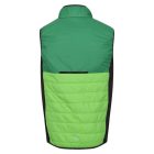 Regatta Halton B/W VII Férfi steppelt mellény zöld