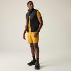 Regatta AndresonHybridB/W Férfi könnyû steppelt mellény fekete