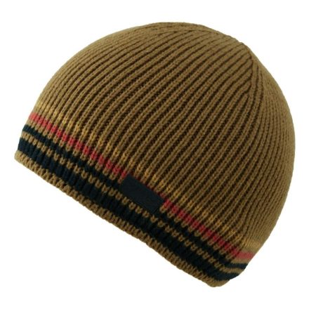 Regatta Balton Beanie IV Férfi sapka barna