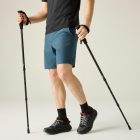 Regatta Cruize Férfi túracipő szürke