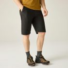 Regatta Regen Low Férfi túracipő barna