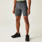 Regatta Xert StrShort III férfi technikai short szürke