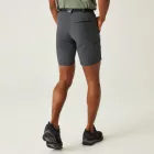 Regatta Xert StrShort III férfi technikai short szürke