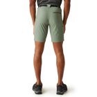 Regatta Xert StrShort III férfi technikai short zöld