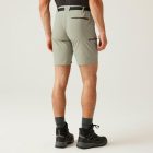 Regatta Xert StrShort III férfi technikai short bézs