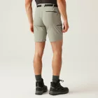 Regatta Xert StrShort III férfi technikai short bézs