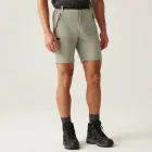 Regatta Xert StrShort III férfi technikai short bézs
