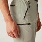 Regatta Xert StrShort III férfi technikai short bézs
