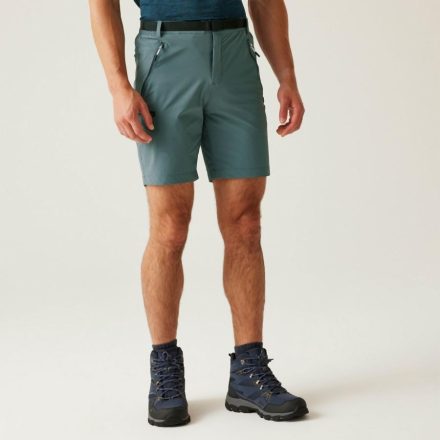 Regatta Xert StrShort III férfi technikai short zöld