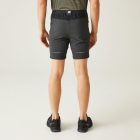 Regatta Mountain ShortsII férfi technikai short fekete