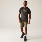 Regatta Mountain ShortsII férfi technikai short zöld