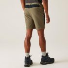 Regatta Mountain ShortsII férfi technikai short zöld