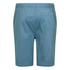 Regatta Aldan Short férfi short kék