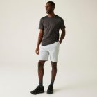 Regatta Dalry Short férfi short szürke