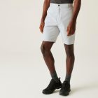 Regatta Dalry Short férfi short szürke