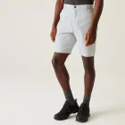 Regatta Dalry Short férfi short szürke