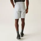 Regatta Dalry Short férfi short szürke