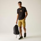 Regatta Ruwan Short Férfi rövidnadrág barna