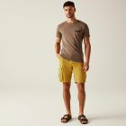 Regatta Shorebay Short II Férfi rövidnadrág sárga