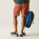 Regatta Shorebay Short II Férfi rövidnadrág narancs