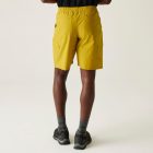 Regatta Mallen Short Férfi rövidnadrág sárga