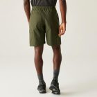 Regatta Mallen Short Férfi rövidnadrág zöld