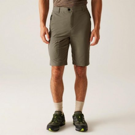 Regatta HightonShortLngII Férfi technikai short zöld
