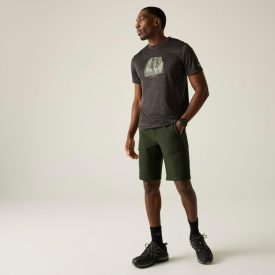 Regatta HightonShortLngII Férfi technikai short zöld