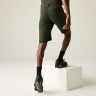 Regatta HightonShortLngII Férfi technikai short zöld