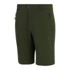 Regatta HightonShortLngII Férfi technikai short zöld