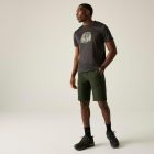 Regatta HightonShortLngII Férfi technikai short zöld