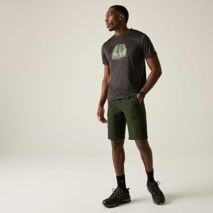 Regatta HightonShortLngII Férfi technikai short zöld