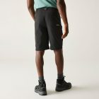 Regatta HightonShortLngII Férfi technikai short fekete