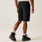 Regatta HightonShortLngII Férfi technikai short fekete