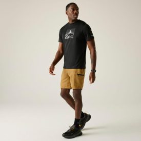 Regatta LeesvilleShrt III Férfi technikai short barna