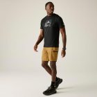 Regatta LeesvilleShrt III Férfi technikai short barna