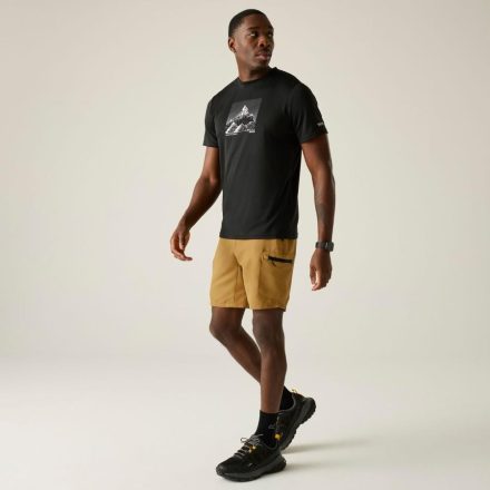 Regatta LeesvilleShrt III Férfi technikai short barna