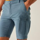 Regatta Bendrick Shorts Férfi short zöld