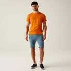 Regatta Bendrick Shorts Férfi short zöld