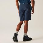 Regatta Eldes Shorts Férfi technikai short kék