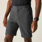 Regatta A-instTvlLtZ/OTrs Férfi lecipzározható túranadrág fekete