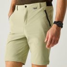 Regatta A-instTvlLtZ/OTrs Férfi lecipzározható túranadrág zöld