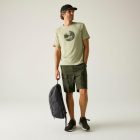Regatta Arlery Short Férfi túra rövidnadrág zöld