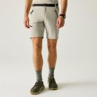 Regatta XertStretchShorts Férfi technikai short bézs