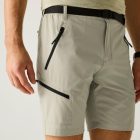 Regatta XertStretchShorts Férfi technikai short bézs